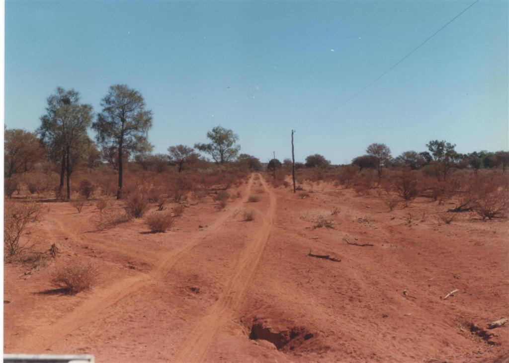 Party line between Kilcowera Station and Zenonie, Outback Queensland.